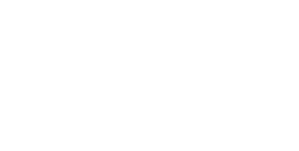 Logo aig