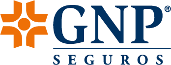 GNP