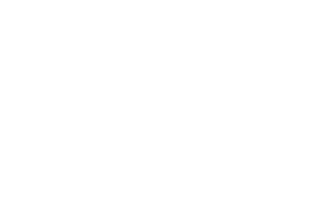 Logo zurich