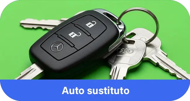 Auto sustituto